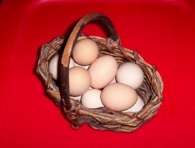 Farm Fresh Eggs
